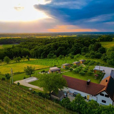 Vinea Panonika Wine & Mind Retreat Villa Radenci Eksteriør bilde
