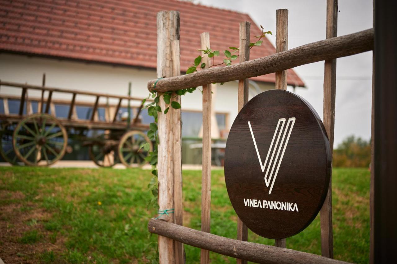Vinea Panonika Wine & Mind Retreat Villa Radenci Eksteriør bilde