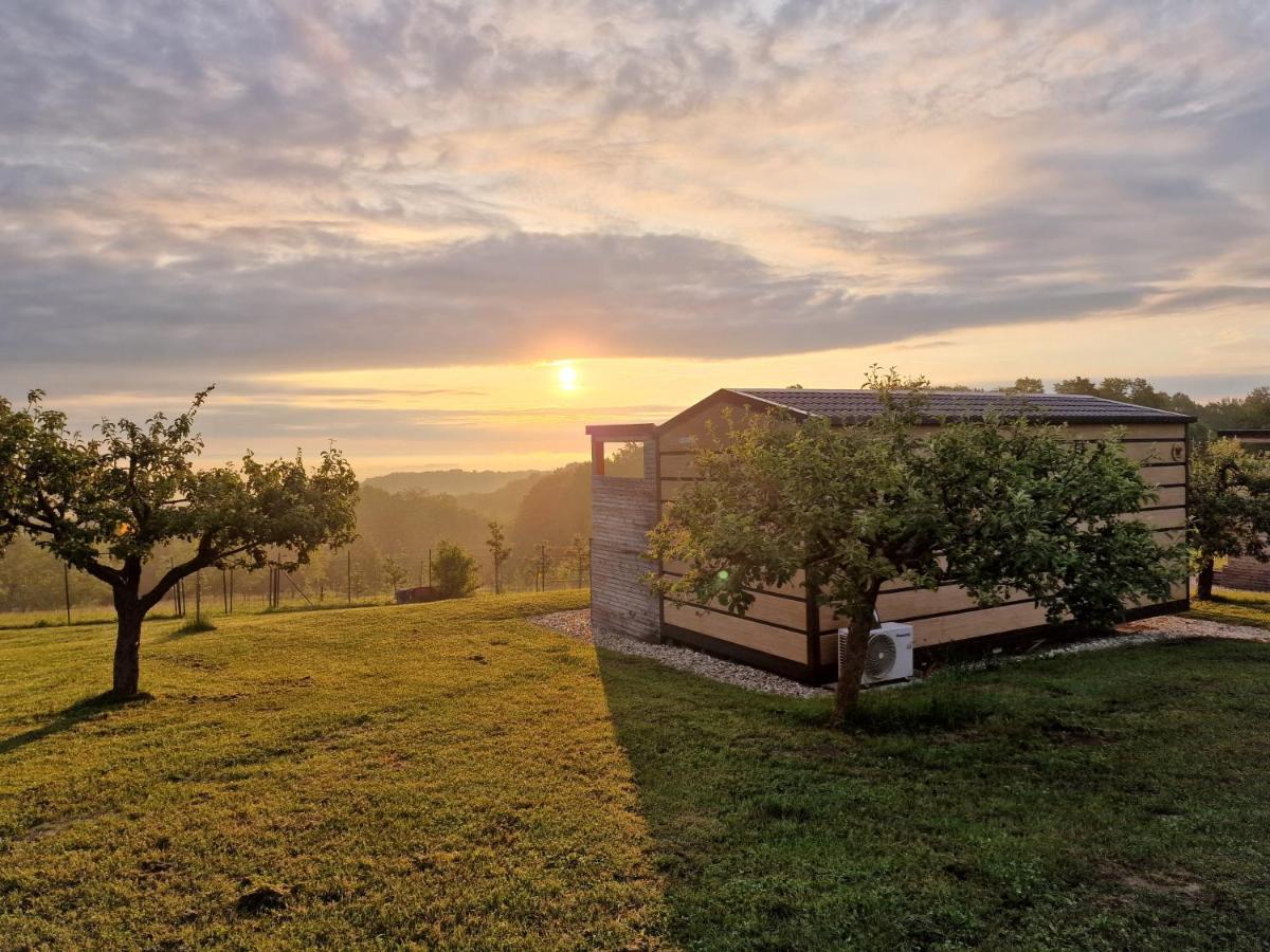 Vinea Panonika Wine & Mind Retreat Villa Radenci Eksteriør bilde