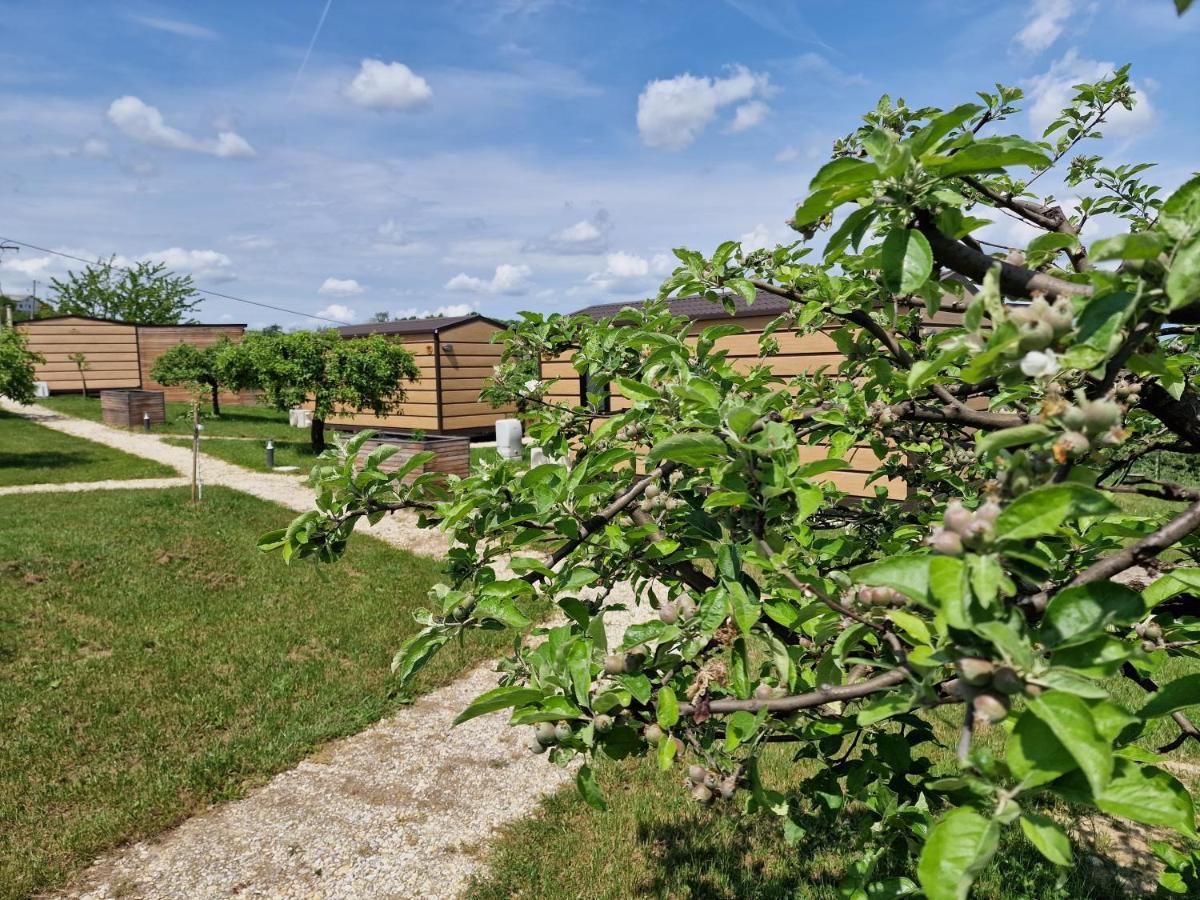 Vinea Panonika Wine & Mind Retreat Villa Radenci Eksteriør bilde